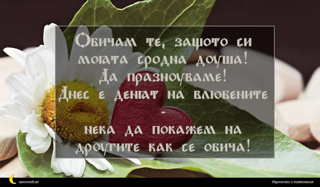 Обичам те, защото си моята сродна душа!
Да празнуваме!
Днес е денят на влюбените -
нека да покажем на другите как се обича!