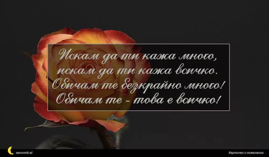 Искам да ти кажа много,
искам да ти кажа всичко.
Обичам те безкрайно много!
Обичам те - това е всичко!