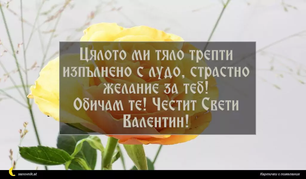 Цялото ми тяло трепти
изпълнено с лудо, страстно желание за теб!
Обичам те! Честит Свети Валентин!