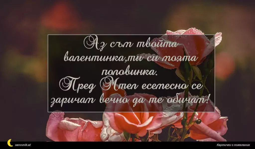 Аз съм твойта валентинка,ти си моята половинка.
Пред Мтел есемесно се заричам вечно да те обичам!