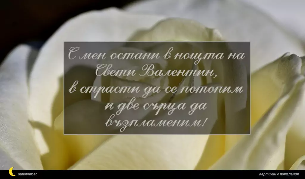 С мен остани в нощта на Свети Валентин,
в страсти да се потопим
и две сърца да възпламеним!
