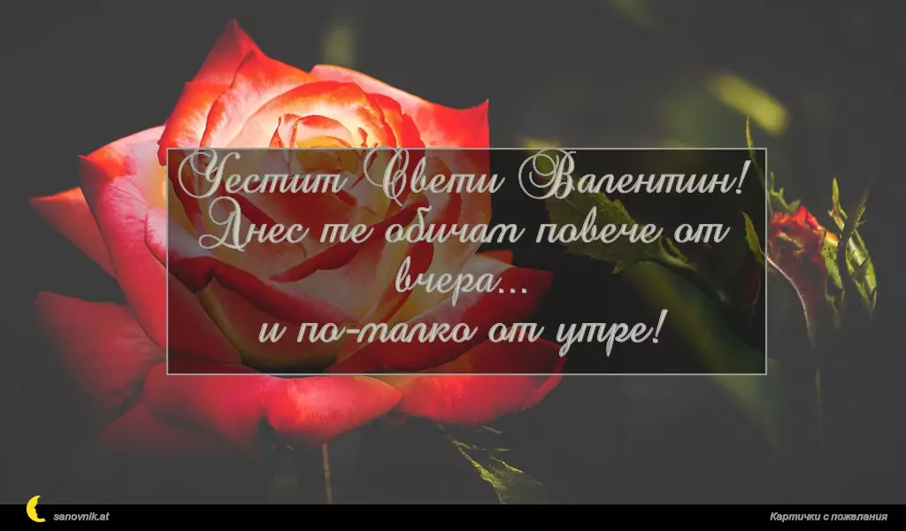 Честит Свети Валентин!
Днес те обичам повече от вчера...
и по-малко от утре!