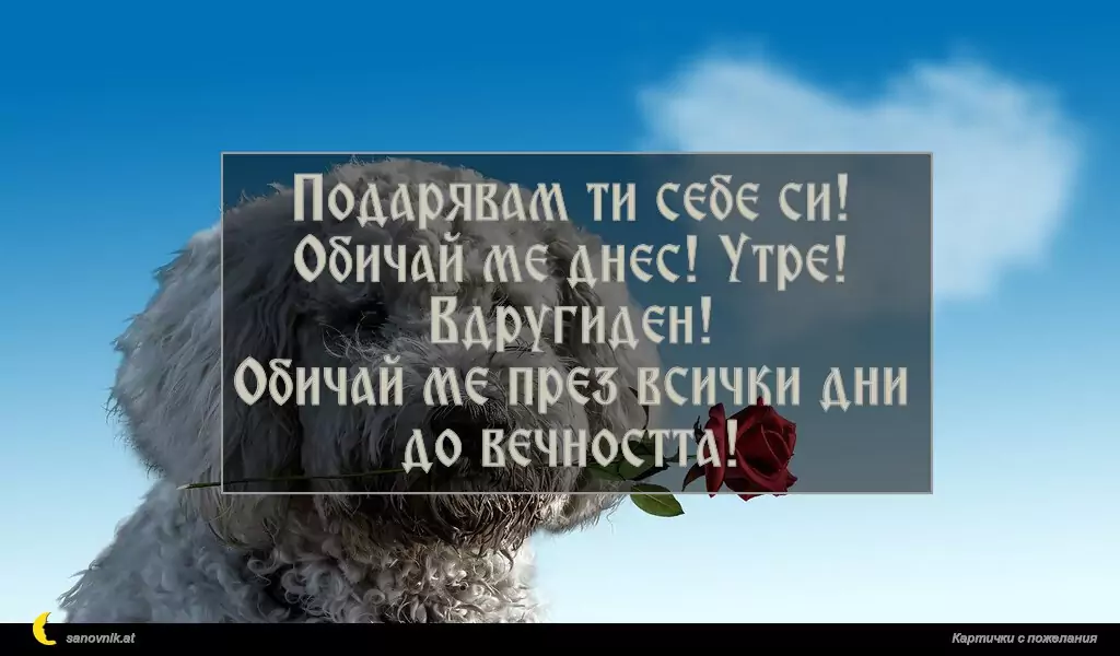 Подарявам ти себе си!
Обичай ме днес! Утре! Вдругиден!
Обичай ме през всички дни до вечността!