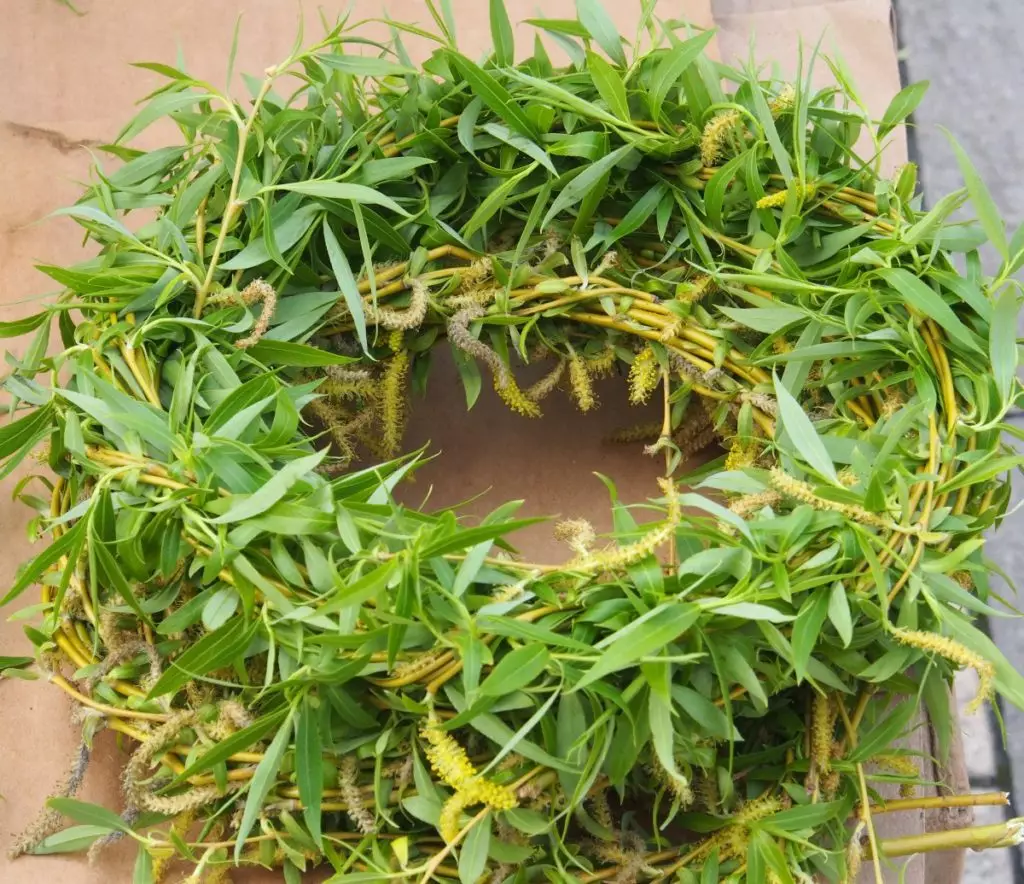 Върбови клонки