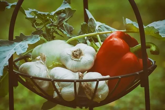 Ползите на чесъна