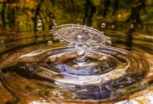22 март - деня на водата