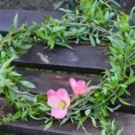 Обичаи за Цветница