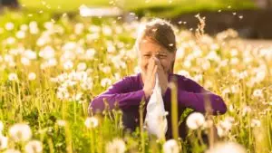 Пролетните алергии настъпват - как да ги спрем