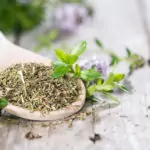 Чубрица – здравословната подправка