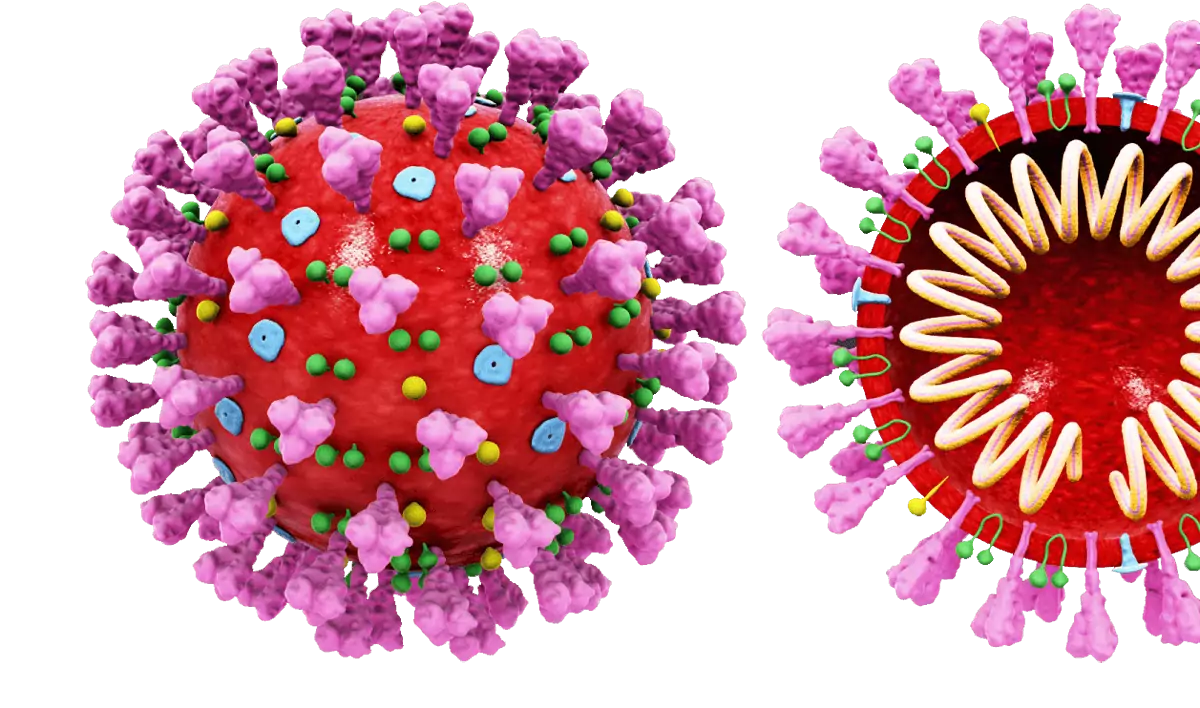 коронавирус