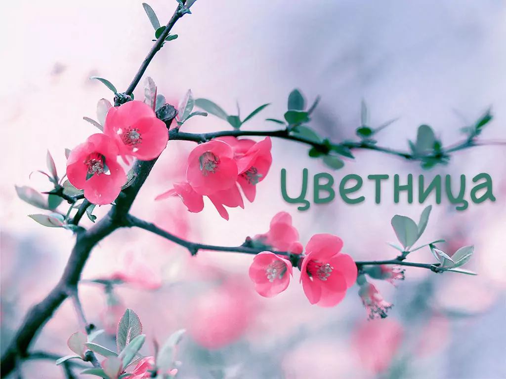 Поверия за Цветница
