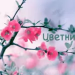 Поверия за Цветница