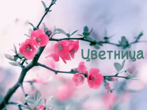 Цветница - поверия