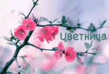 Цветница - поверия