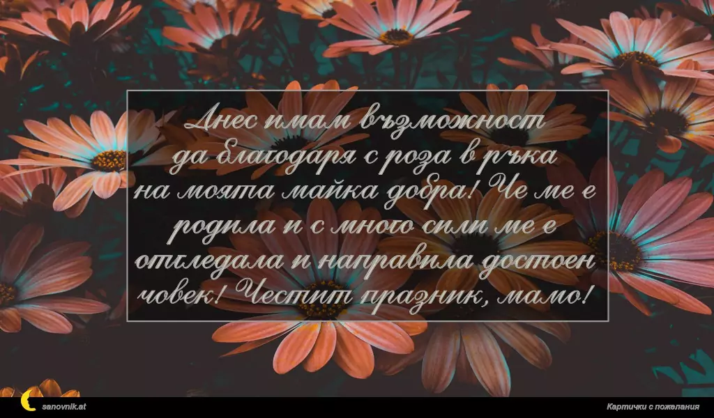 Днес имам възможност
да благодаря с роза в ръка
на моята майка добра! Че ме е
родила и с много сили ме е
отгледала и направила достоен
човек! Честит празник, мамо!