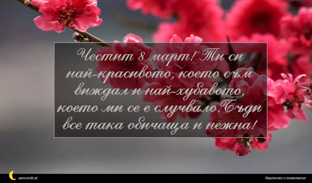 Честит 8 март! Ти си най-красивото, което съм виждал и най-хубавото, което ми се е случвало.Бъди все така обичаща и нежна!