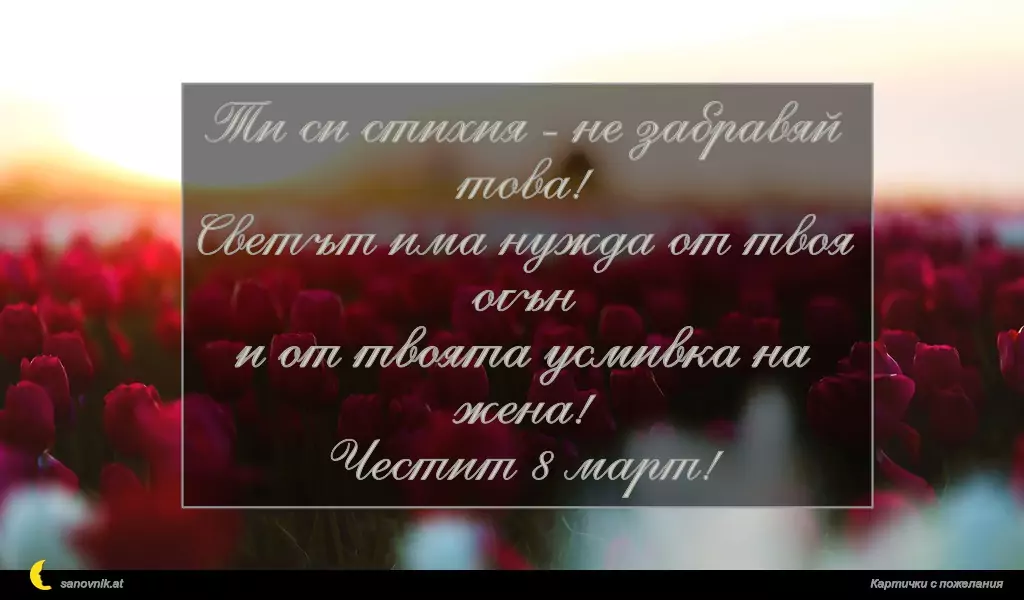 Ти си стихия - не забравяй това!
Светът има нужда от твоя огън
и от твоята усмивка на жена!
Честит 8 март!