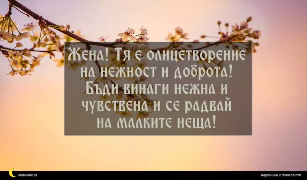 Жена! Тя е олицетворение
на нежност и доброта!
Бъди винаги нежна и
чувствена и се радвай
на малките неща!