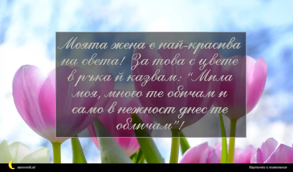 Моята жена е най-красива
на света! За това с цвете
в ръка й казвам: “Мила
моя, много те обичам и
само в нежност днес те
обличам”!