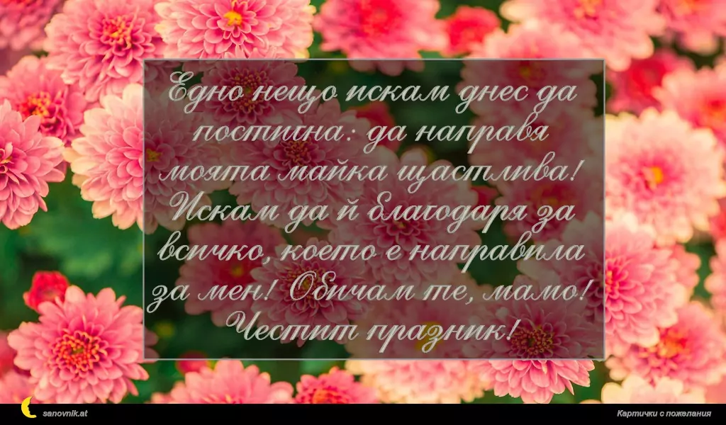 Едно нещо искам днес да
постигна: да направя
моята майка щастлива!
Искам да й благодаря за
всичко, което е направила
за мен! Обичам те, мамо!
Честит празник!