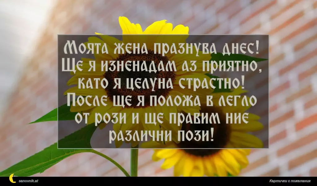 Моята жена празнува днес!
Ще я изненадам аз приятно,
като я целуна страстно!
После ще я положа в легло
от рози и ще правим ние
различни пози!