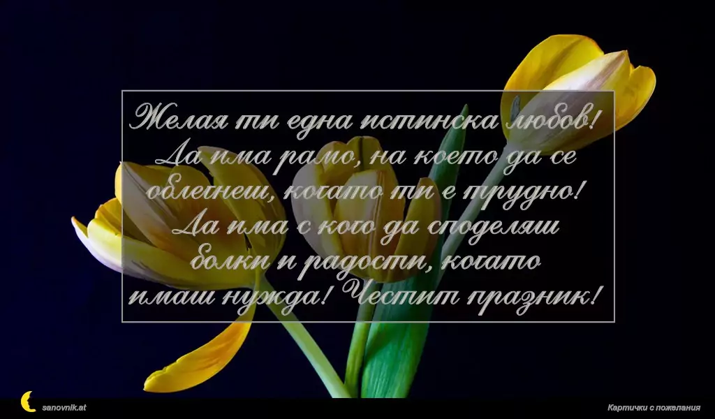 Желая ти една истинска любов!
Да има рамо, на което да се
облегнеш, когато ти е трудно!
Да има с кого да споделяш
болки и радости, когато
имаш нужда! Честит празник!