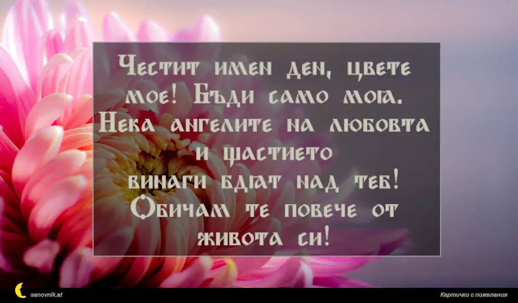 Честит имен ден, цвете мое! Бъди само моя.
Нека ангелите на любовта и щастието
винаги бдят над теб!
Обичам те повече от живота си!