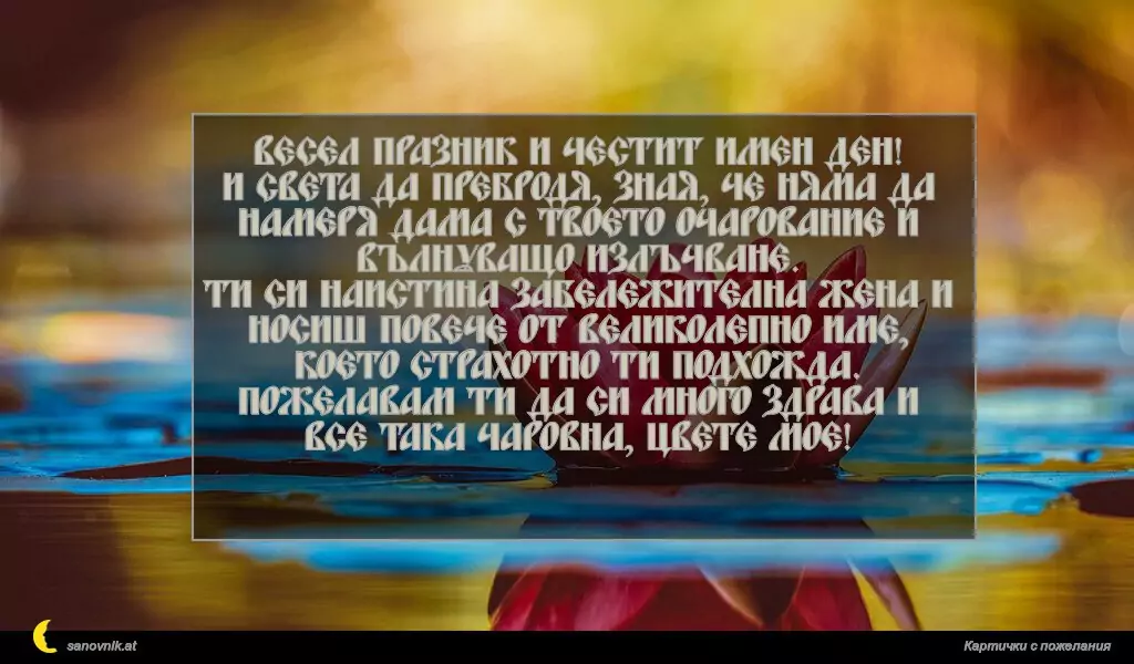 Весел празник и честит имен ден!
И света да пребродя, зная, че няма да намеря дама с твоето очарование и вълнуващо излъчване.
Ти си наистина забележителна жена и носиш повече от великолепно име, което страхотно ти подхожда.
Пожелавам ти да си много здрава и все така чаровна, цвете мое!