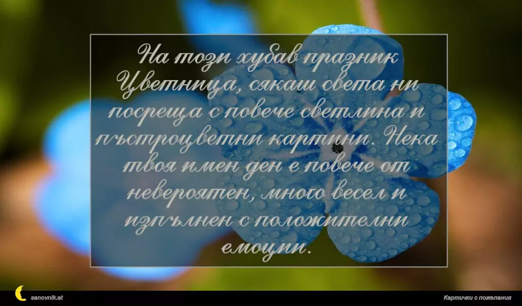На този хубав празник Цветница, сякаш света ни посреща с повече светлина и пъстроцветни картини. Нека твоя имен ден е повече от невероятен, много весел и изпълнен с положителни емоции.