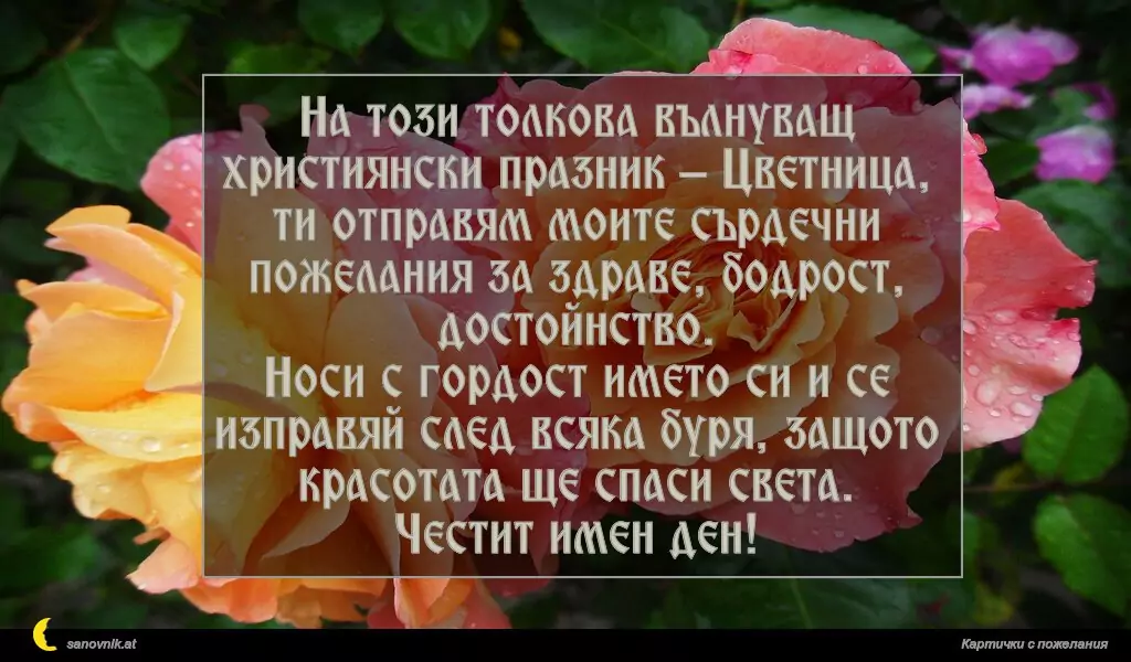 На този толкова вълнуващ християнски празник – Цветница, ти отправям моите сърдечни пожелания за здраве, бодрост, достойнство.
Носи с гордост името си и се изправяй след всяка буря, защото красотата ще спаси света.
Честит имен ден!