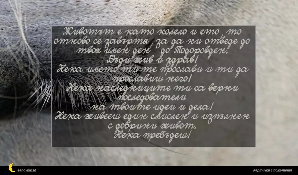 Пожелание за Тодоровден 1