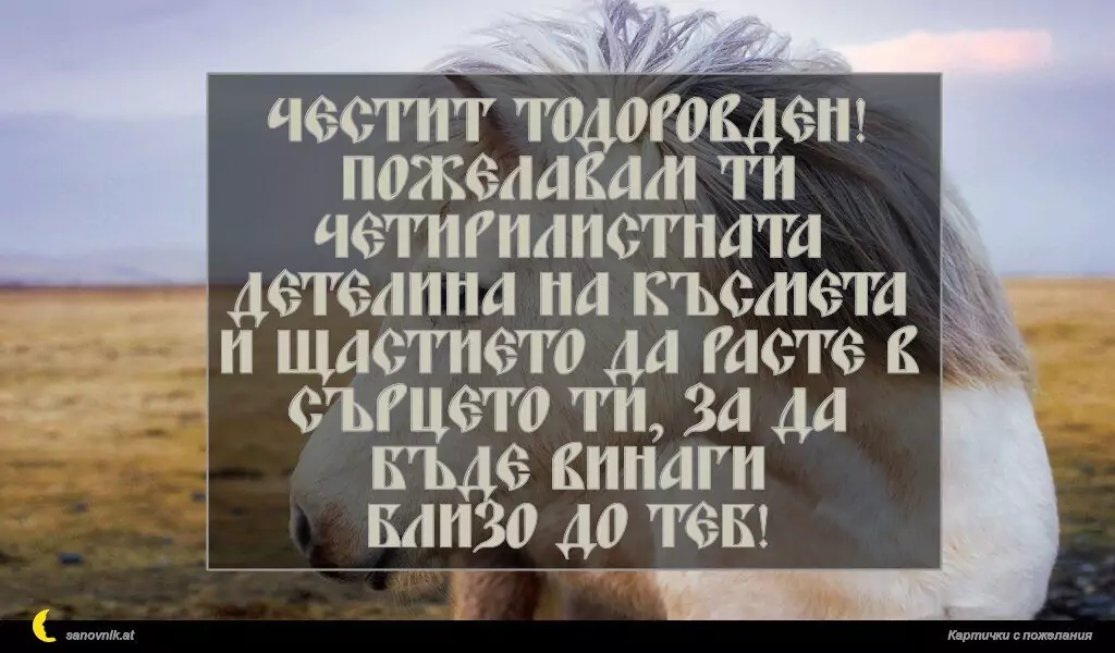 Пожелание за Тодоровден 12