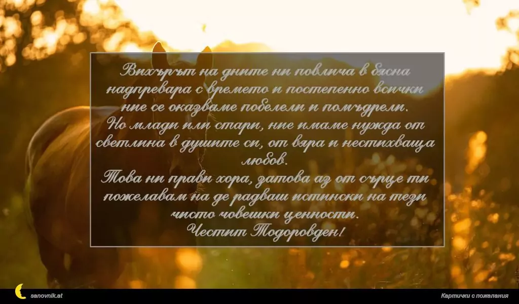 Пожелание за Тодоровден 7