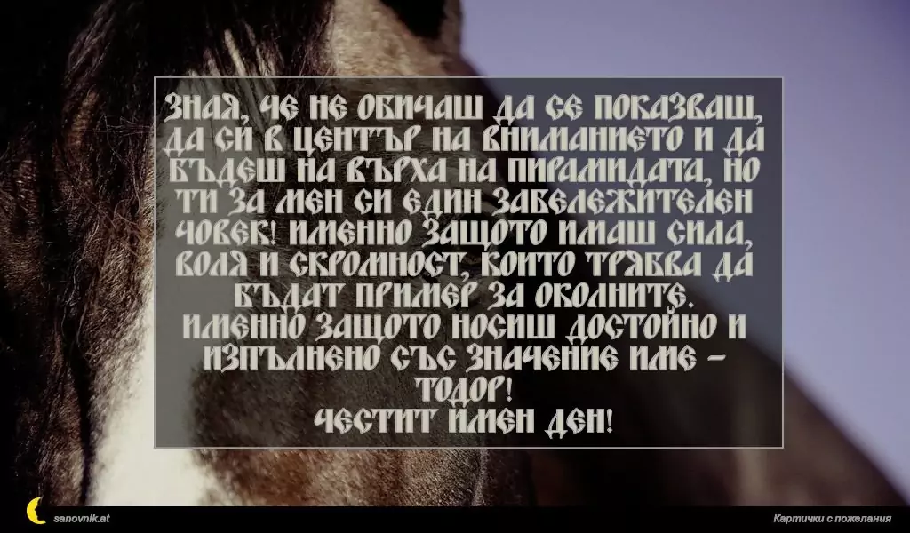 Пожелание за Тодоровден 8