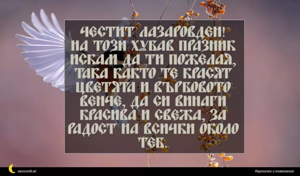 Пожелание за Лазаровден 2