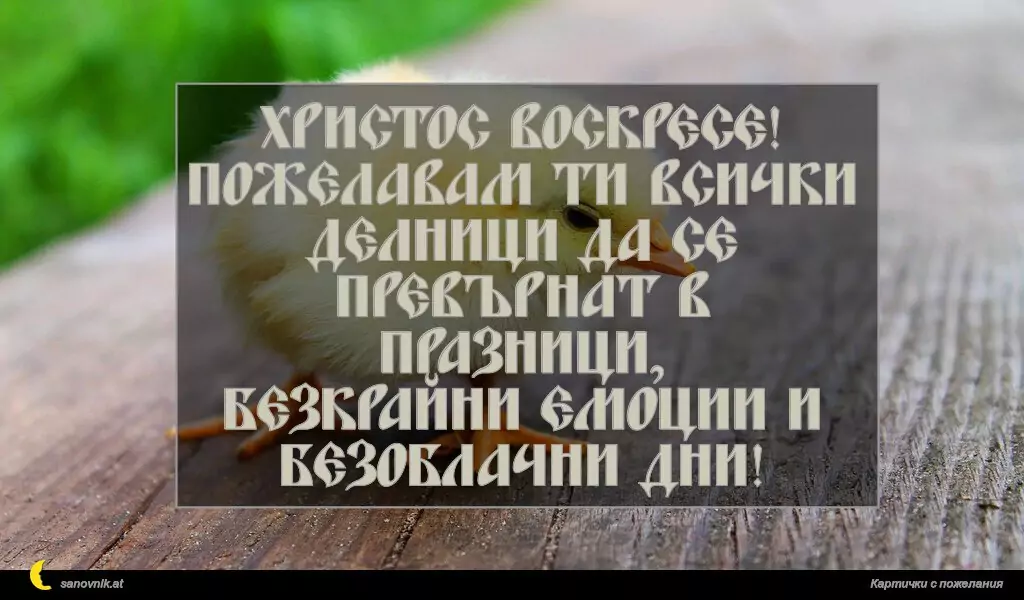 Христос Воскресе!
Пожелавам ти всички делници да се превърнат в празници,
безкрайни емоции и безоблачни дни!