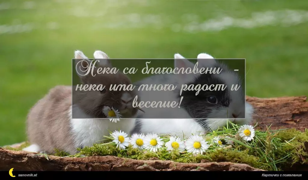 Нека са благословени  -
нека има много радост и веселие!