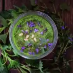 Копривата нахлува в пролетната кухня