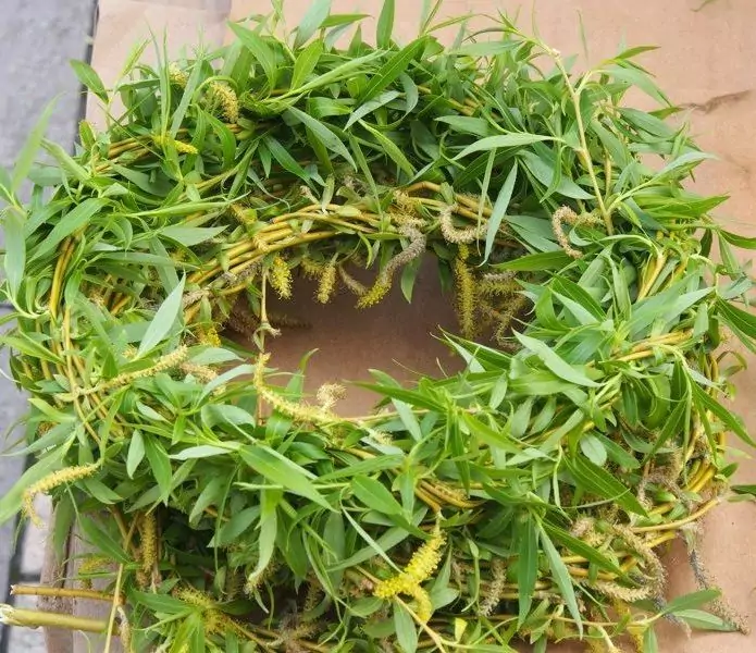 Върбова клонка - символика