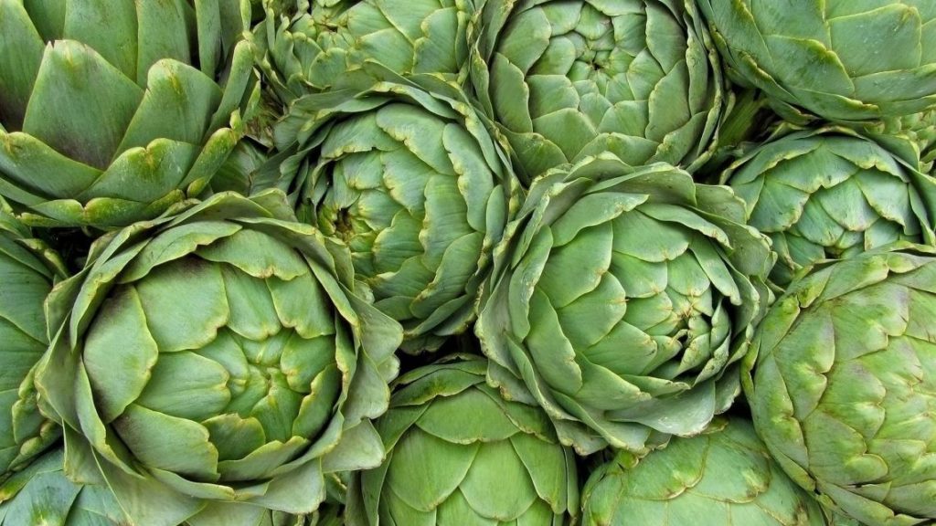 Обърнете внимание на черния дроб - артишок