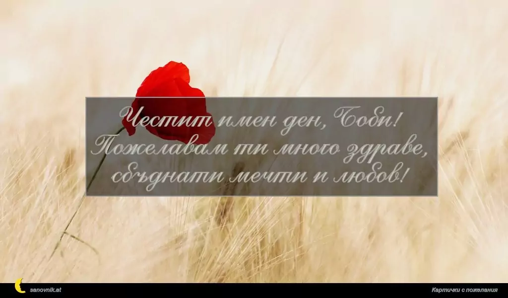 Пожелание за Борис-Михаил 1