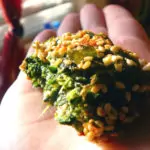 Кюфтенца от коприва с овесени ядки