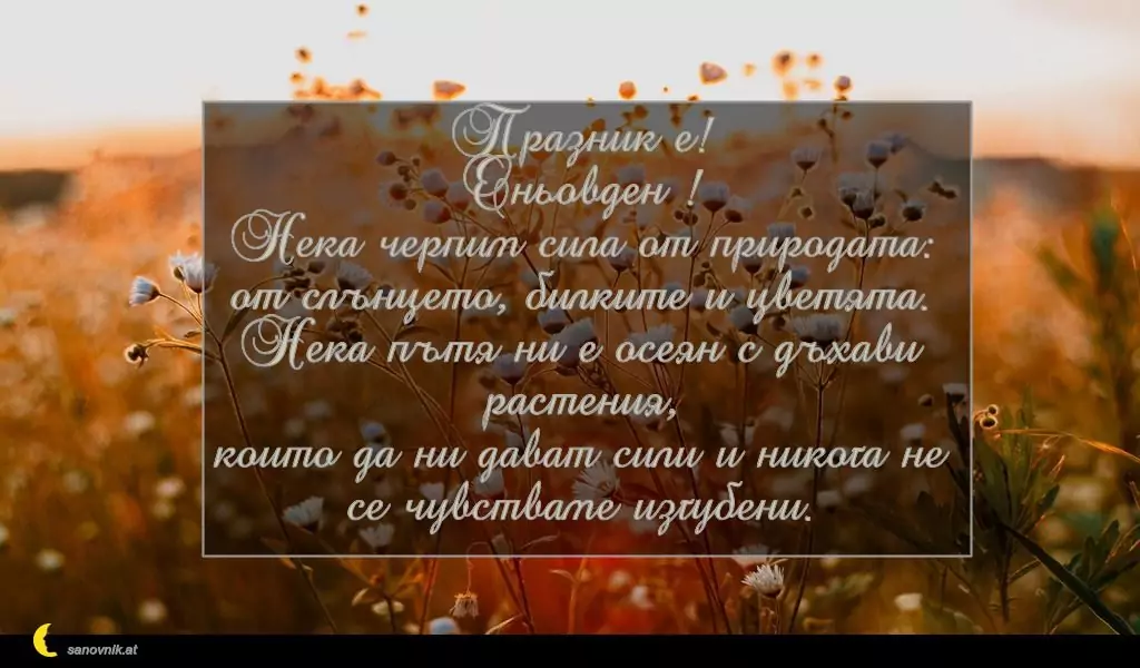 Пожелание за Еньовден 8
