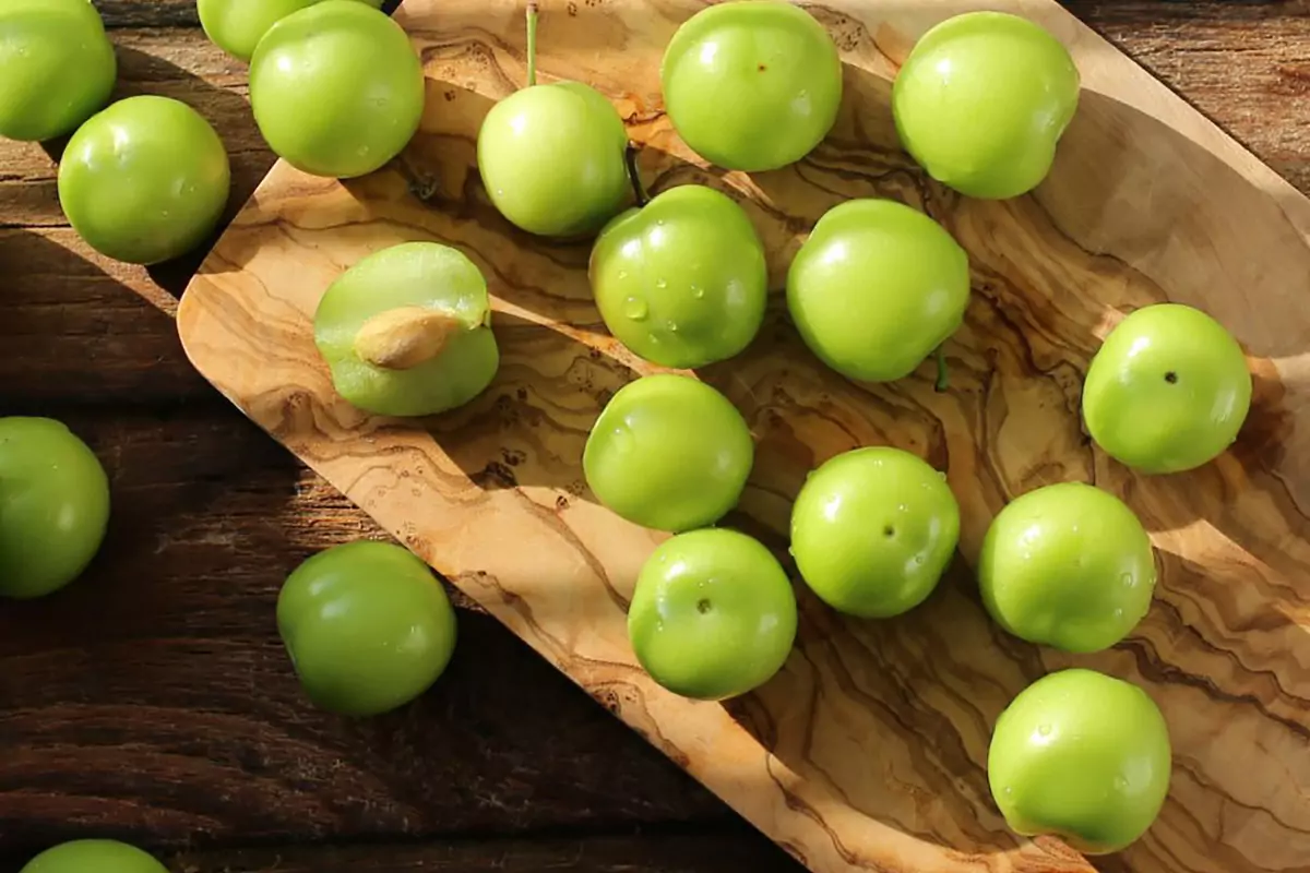 ястия с джанки