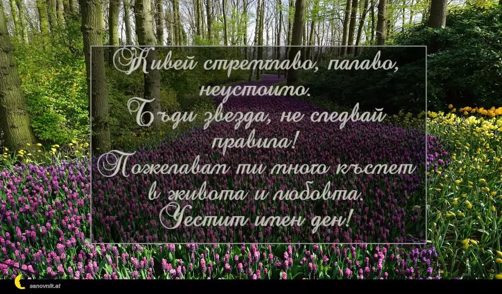 Пожелание за Александровден 11