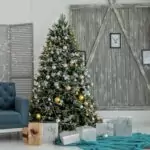 10 любопитни факта за коледната елха