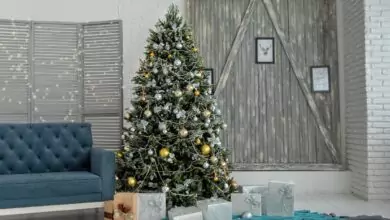 факти за коледната елха