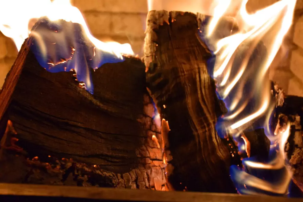 Бъдник - Бъдни вечер