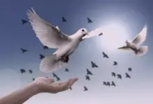 духовност