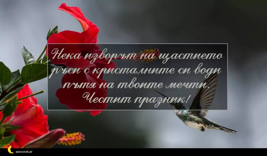 sanovnik.at - Картички за Петковден Нека изворът на щастието
ръси с кристалните си води
пътя на твоите мечти.
Честит празник!
